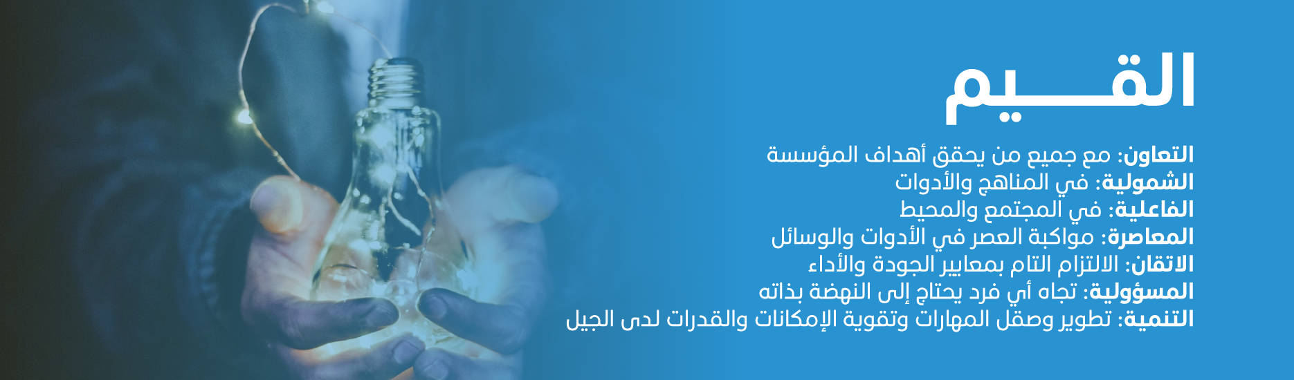 الأمن السيبراني